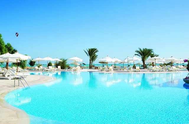 A serene oasis pool surrounded by lush greenery and lounge chairs.