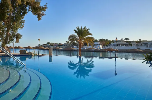Infinity-edge pool with a palm tree reflection, steps and a lagoon visible in the distance