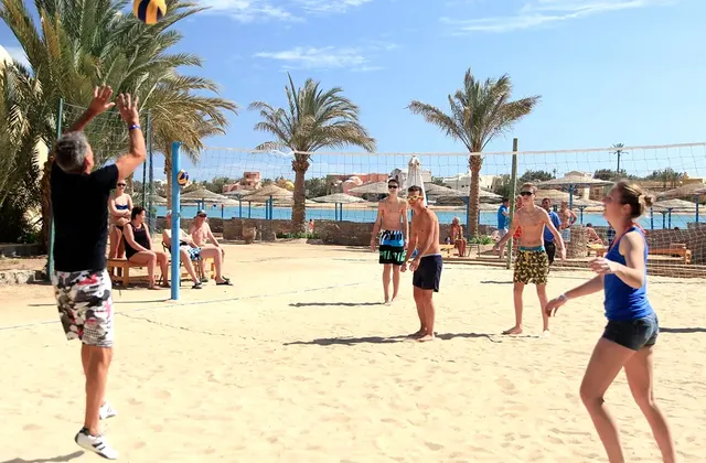 People playing beach volleyball near the shore, with the ocean and sandy beach as the backdrop. The scene captures an active and enjoyable beach activity in a sunny, outdoor setting.