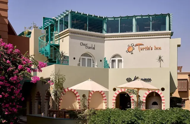 Building facade with a rooftop glass structure and a sign reading Turtle's Inn, pink bougainvillea in the foreground